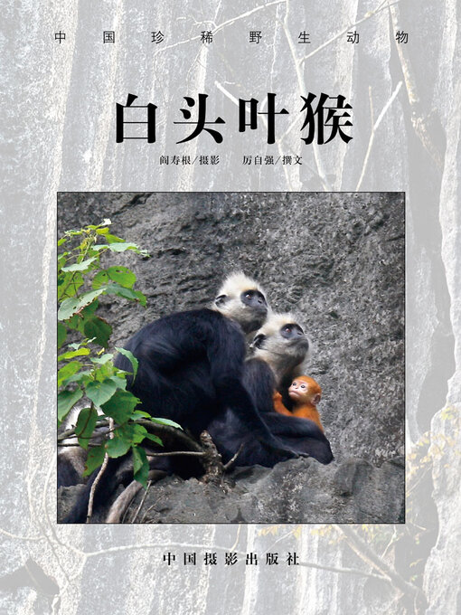 Cover image for 白头叶猴